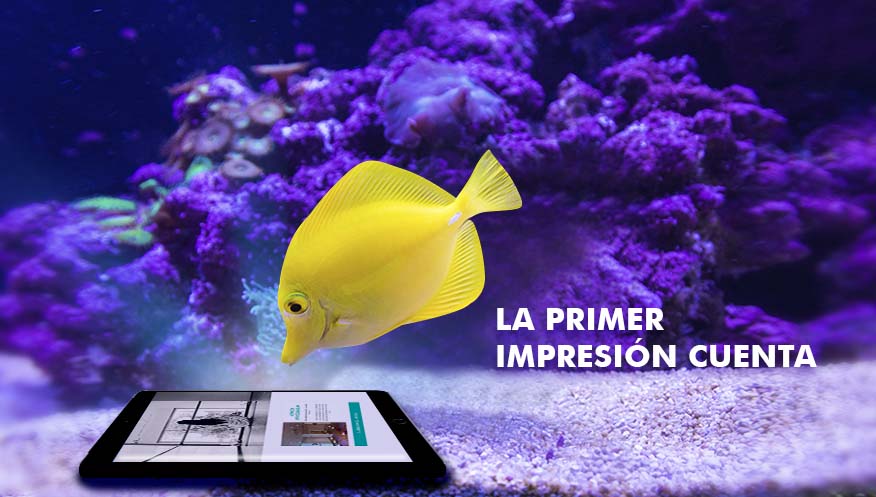PORTADA-websites Expertos en Desarrollo y Diseño de páginas web en la República Dominicana